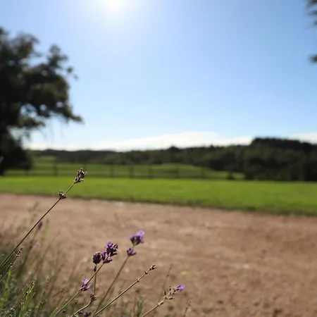 Hébergement de vacances Petit Chez Domaine Chateau De Bussolles *